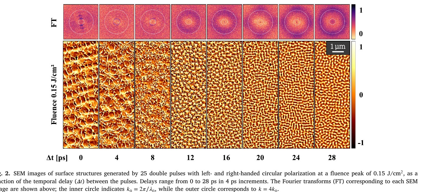 The delay alone reorganizes the surface. SEM images after 25 double pulses of opposite circular polarizations