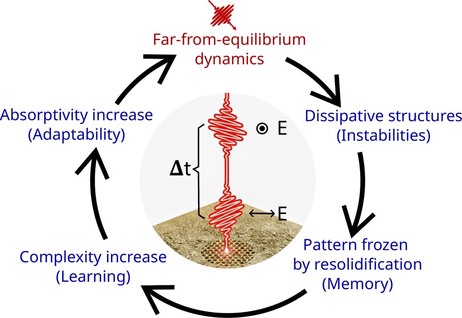 Cycle linking far-from-equilibrium dynamics, dissipative structures, frozen pattern and increased absorptivity