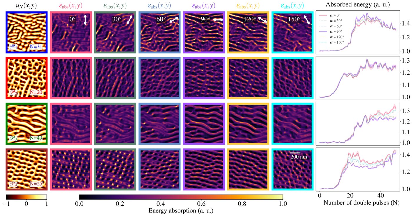 Effect of the laser polarization angle on the absorbed energy of the optimal patterns
