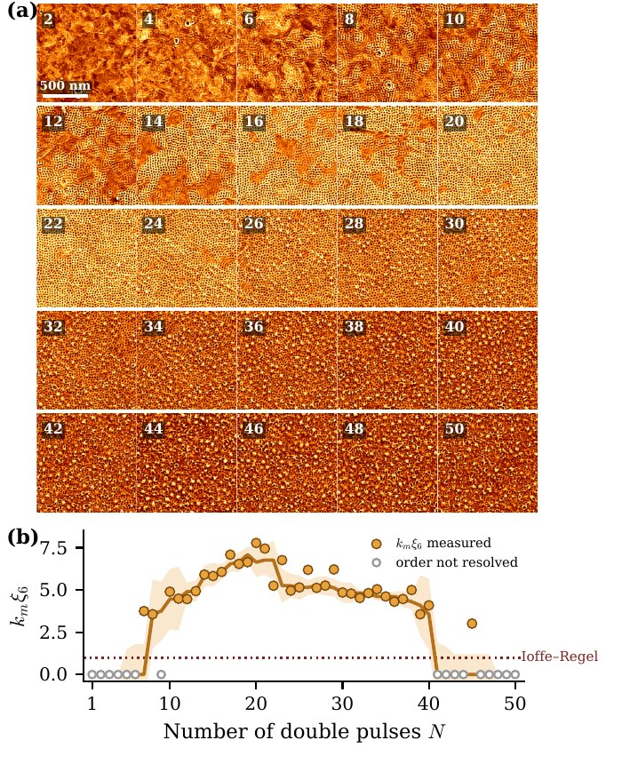 (a) Twenty-five of fifty micrographs of the same spot, one every other pulse. (b) The six-fold orientational coherence l