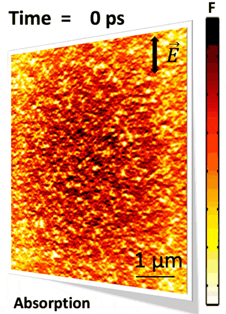 Simulation on a statistically rough surface: the absorbed energy map at the arrival of the pulse, and the hydrodynamic e