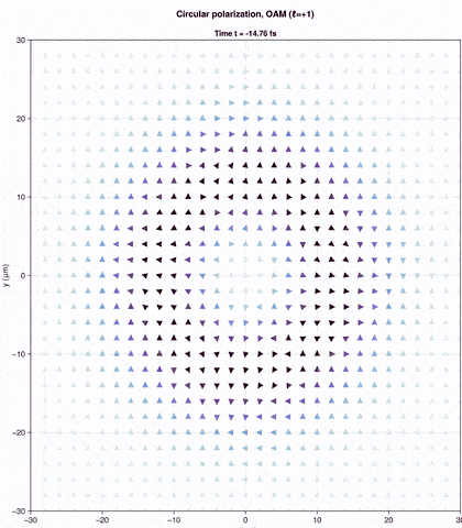 Animated optical force distribution for a circularly polarized vortex pulse