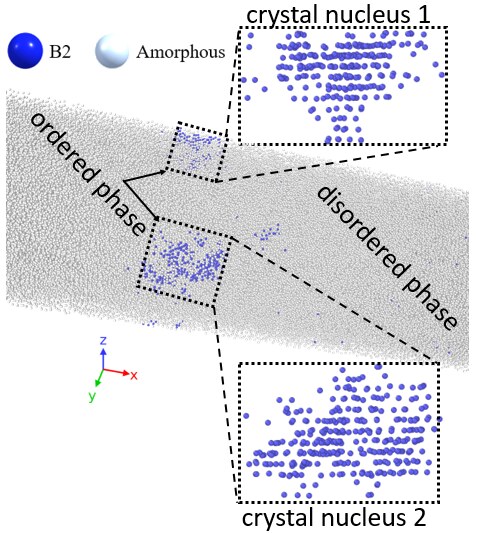 Crystal nuclei and the ordered and disordered phases in a Cu-Zr metallic glass